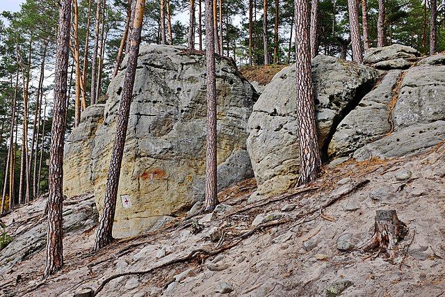 Přírodní rezervace Toulovcovy maštale